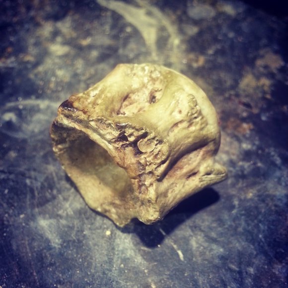 Cast concrete vertebrae 