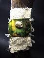 Day of the Dead pewter concrete skully bracelet