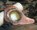upcycled jewelry