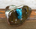 ocean rock from Seattle puget sound