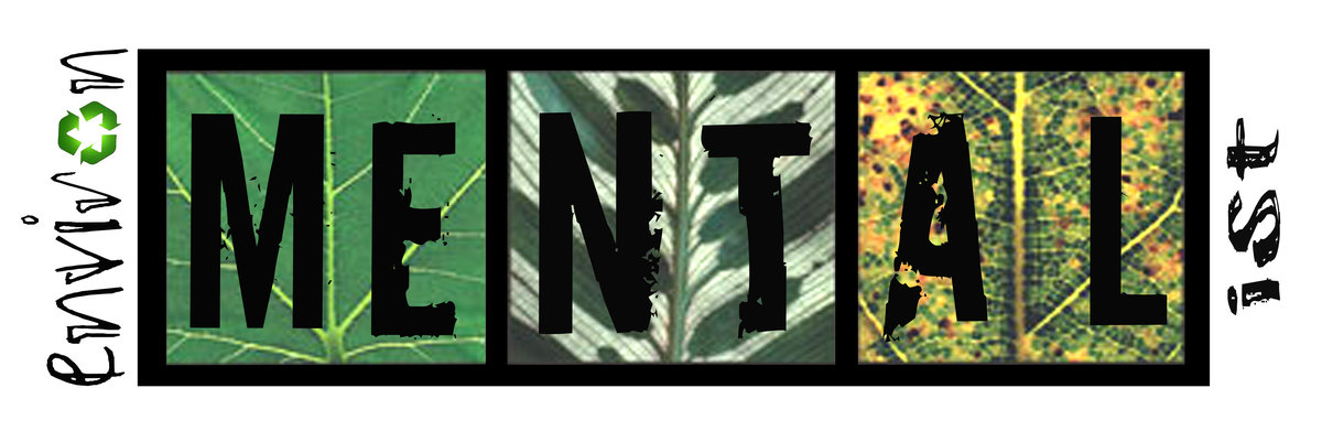 environmentalist bumper sticker