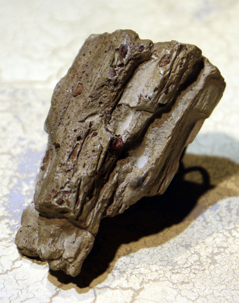 driftwood wood ring